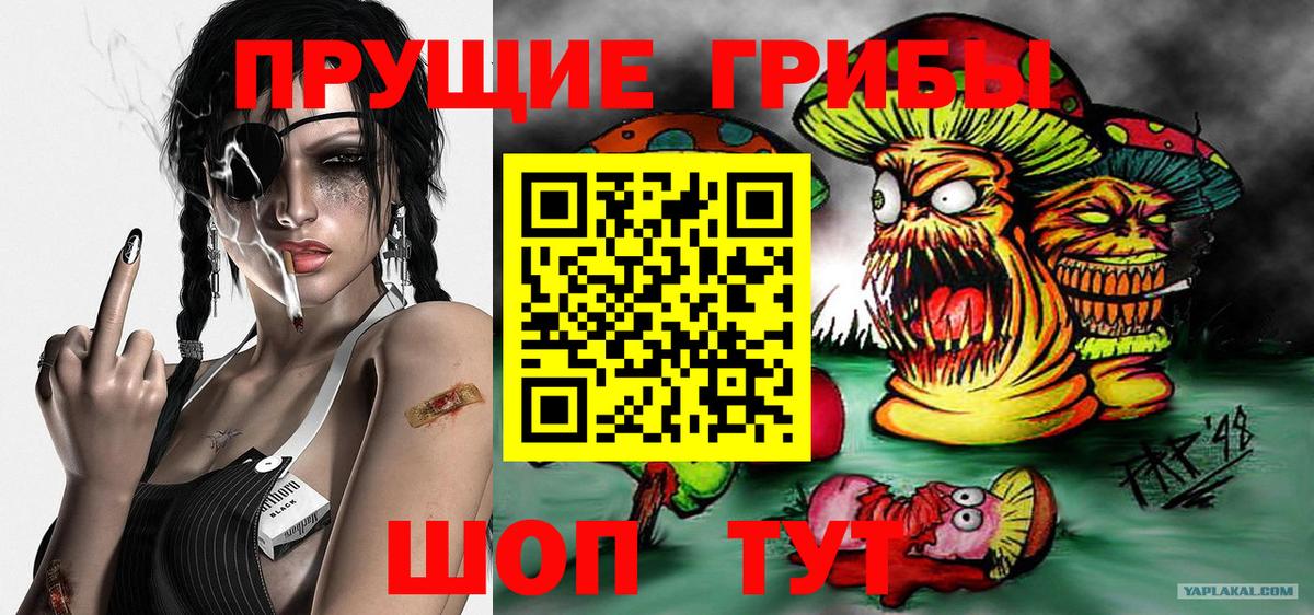 Псилоцибиновые грибы Cubensis Ногинск